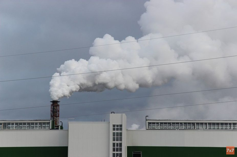 В Карелии Сегежский ЦБК судится с экоактивисткой, рассказавшей про вредные выбросы комбината
