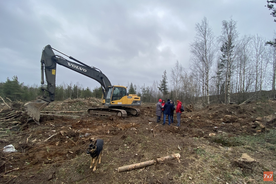 Защитники парка «Каменный бор» в Петрозаводске остановили строительные работы