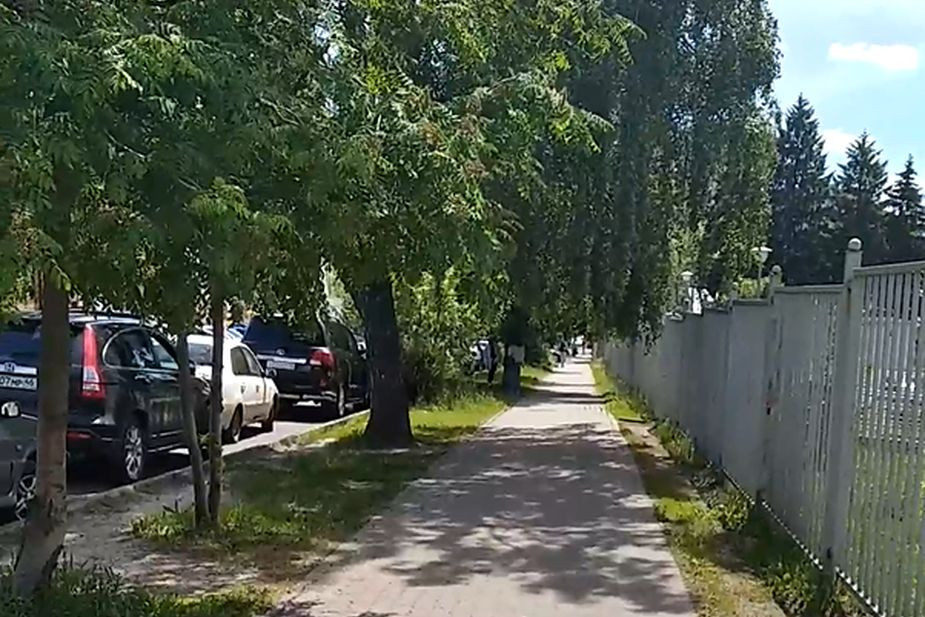В Курске жители обратились в прокуратуру из-за вырубки деревьев для строительства парковки  